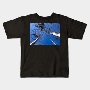 Aspen trees reaching up into the sky Kids T-Shirt